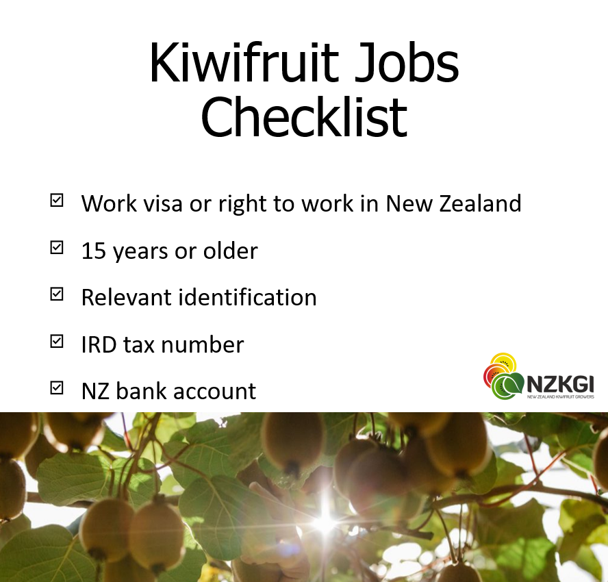 Say yes to seasonal work and more! NZKGI